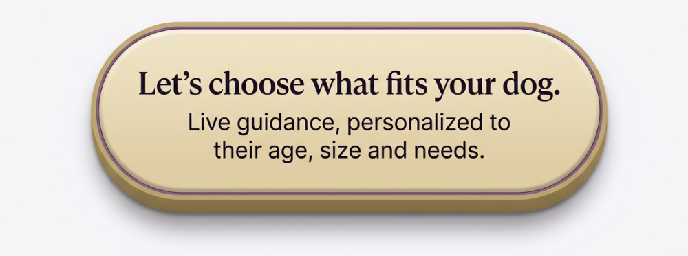 Let’s choose what fits your dog.